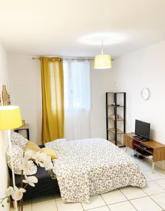 Studio A 5 Mn A Pied De La Gare Saint-Roch Montpellier Eksteriør billede